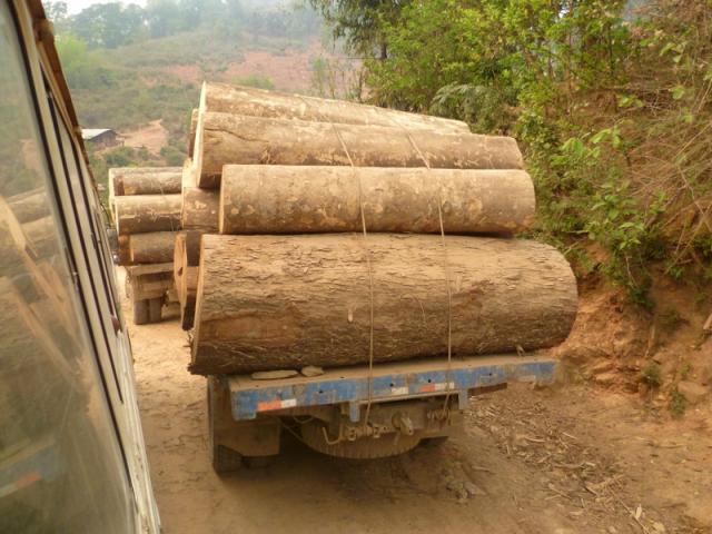 voyage vers Phongsaly voyage vers Phongsaly